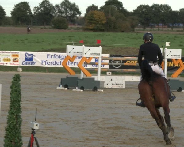 Reitturnier Lüdinghausen-Westrup 2019