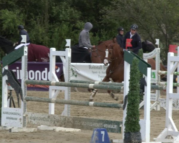 Reitturnier Lüdinghausen-Westrup 2019