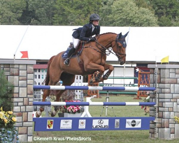 jumper Onyx du Haut Bois (Selle Français, 2002, from Cabdula du Tillard)