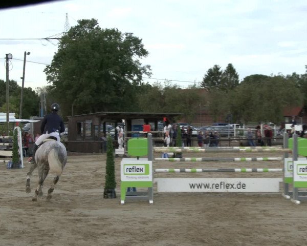 Reitturnier Lüdinghausen-Westrup 2019
