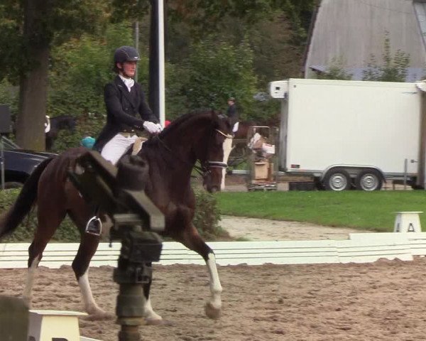 Reitturnier Wedel-Catharinenhof 2019