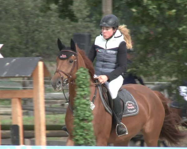 Reitturnier Lüdinghausen-Westrup 2019