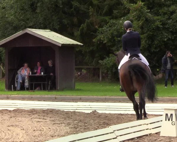 Reitturnier Wedel-Catharinenhof 2019