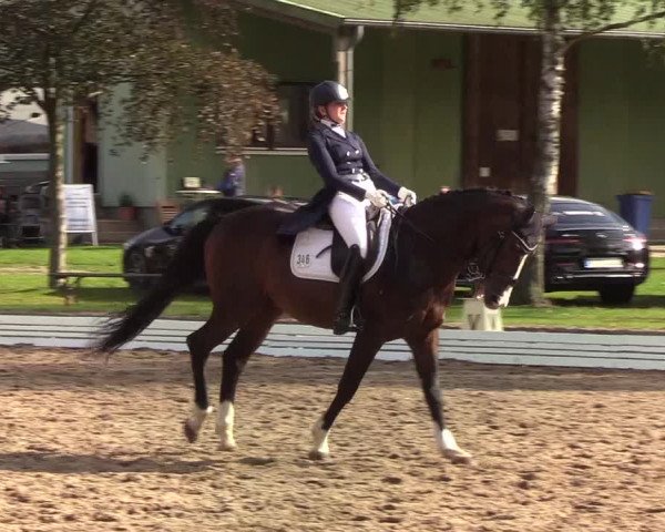 Reitturnier Wedel-Catharinenhof 2019