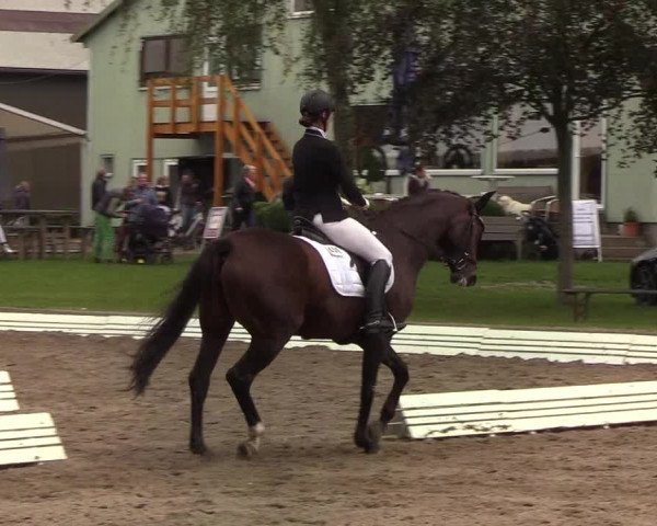Reitturnier Wedel-Catharinenhof 2019
