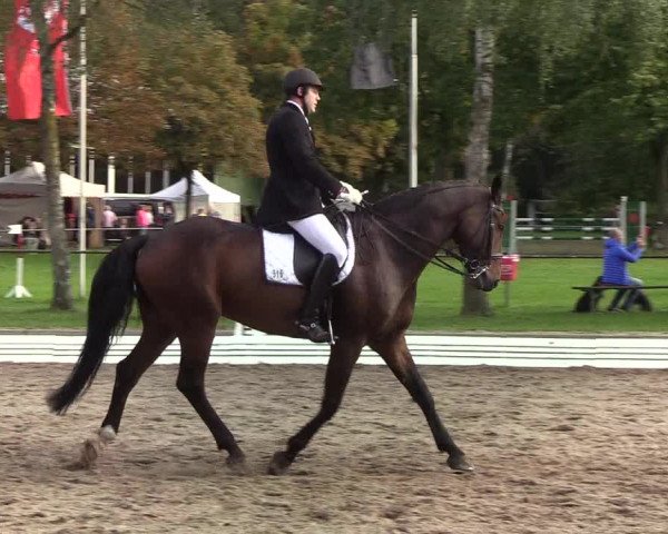 Reitturnier Wedel-Catharinenhof 2019