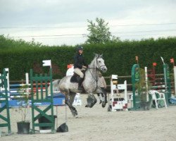 jumper Urkham du Bosc (Selle Français, 2008, from Airborne Montecillo)