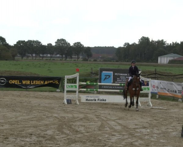 Reitturnier Lüdinghausen-Westrup 2019