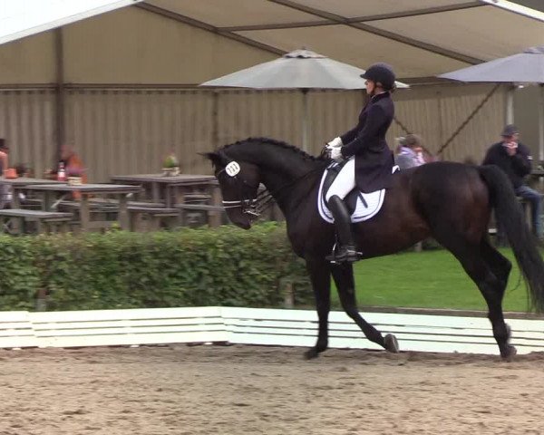 Reitturnier Wedel-Catharinenhof 2019