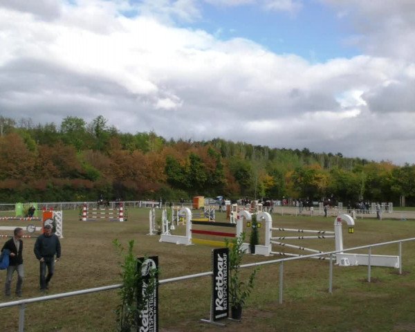Reitturnier Wernigerode 2019