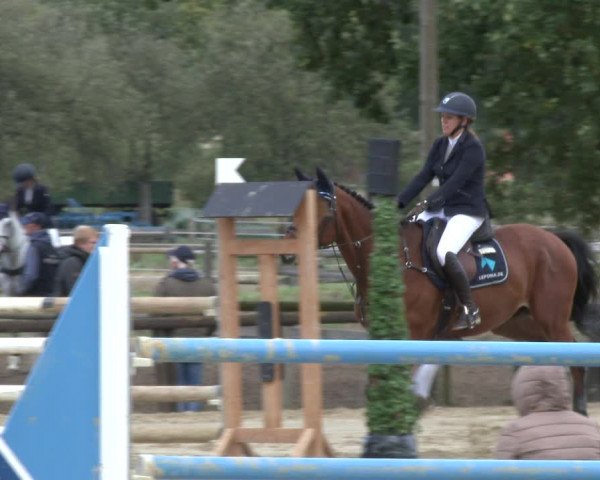 Reitturnier Lüdinghausen-Westrup 2019