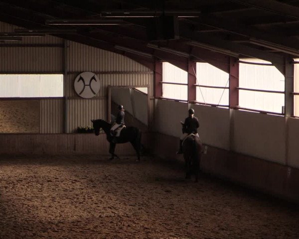 Reitturnier Lüdinghausen-Westrup 2019