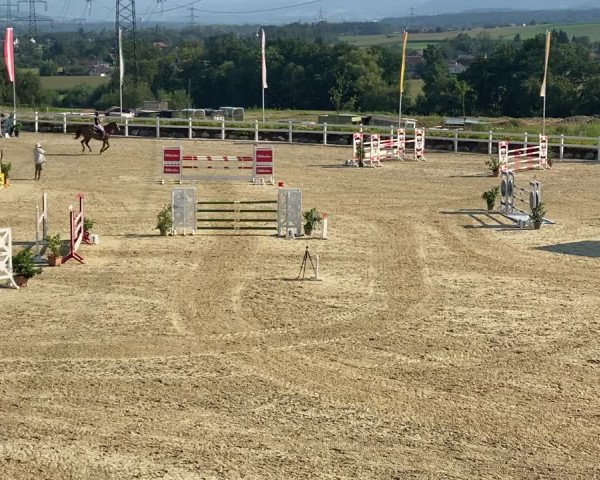 Video of Carrera Semilly