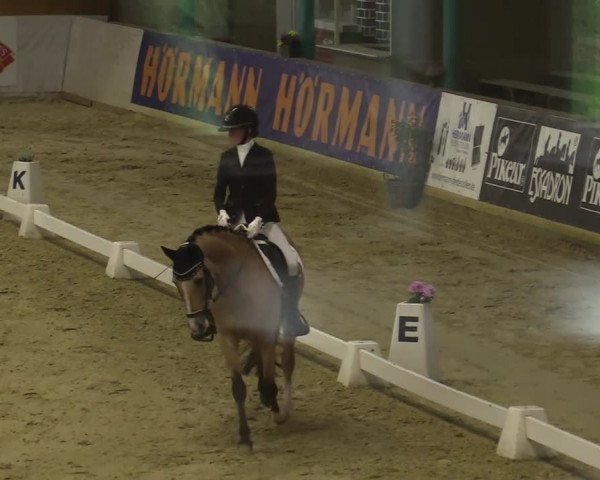 Steinhagen Classics 2021