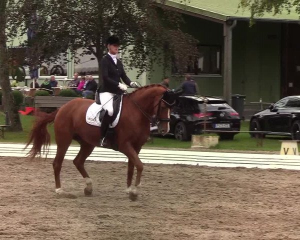 Reitturnier Wedel-Catharinenhof 2019