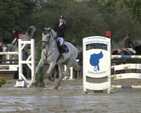 Reitturnier Lüdinghausen-Westrup 2019