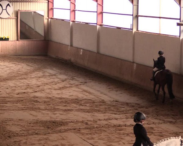 Reitturnier Lüdinghausen-Westrup 2019