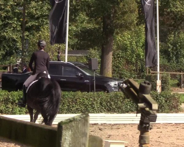 Reitturnier Wedel-Catharinenhof 2019