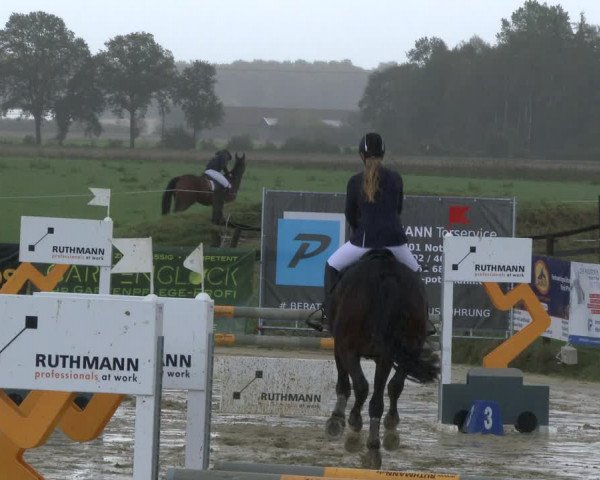 Reitturnier Lüdinghausen-Westrup 2019