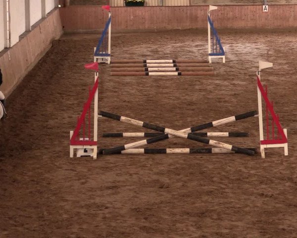 Reitturnier Lüdinghausen-Westrup 2019