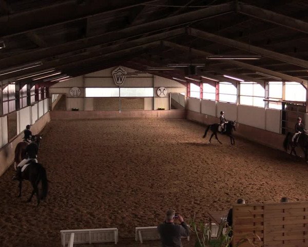 Reitturnier Lüdinghausen-Westrup 2019