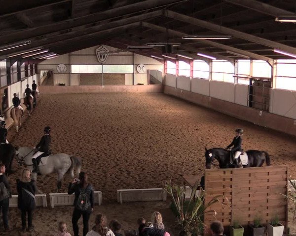 Reitturnier Lüdinghausen-Westrup 2019