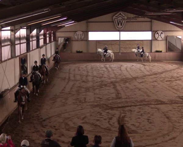 Reitturnier Lüdinghausen-Westrup 2019