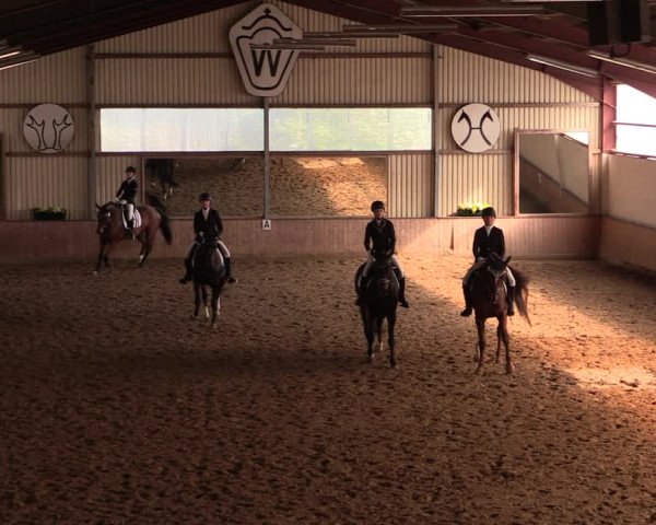 Reitturnier Lüdinghausen-Westrup 2019