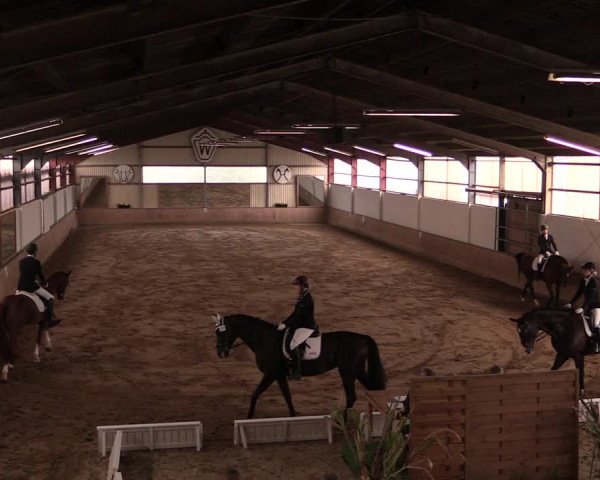 Reitturnier Lüdinghausen-Westrup 2019