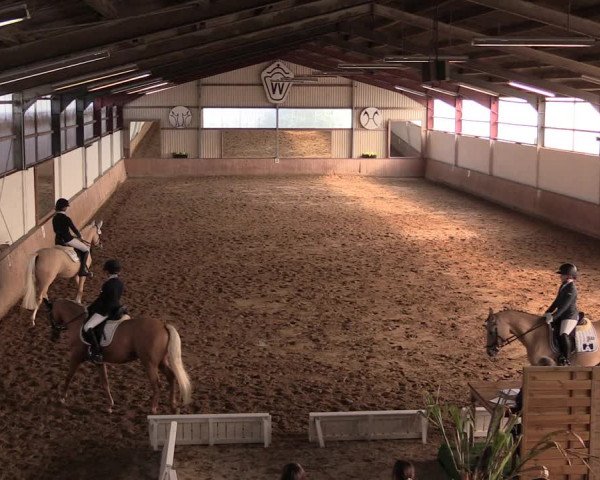 Reitturnier Lüdinghausen-Westrup 2019