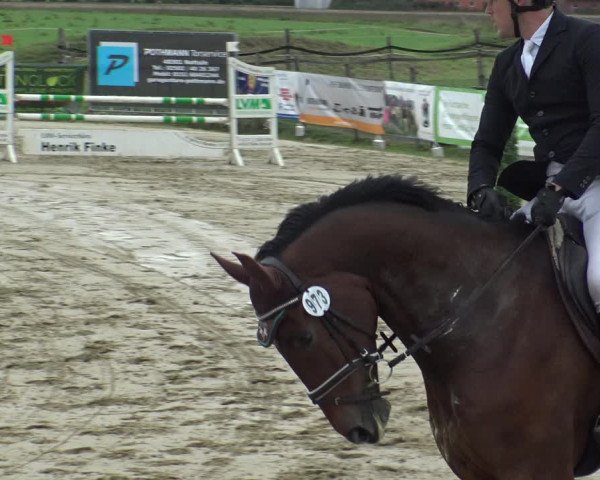 Reitturnier Lüdinghausen-Westrup 2019
