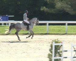 jumper T'Chic Doucette (Selle Français, 2007, from Mylord Carthago)