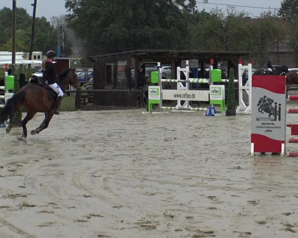 Reitturnier Lüdinghausen-Westrup 2019
