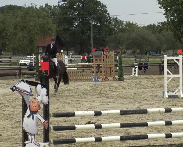Reitturnier Lüdinghausen-Westrup 2019