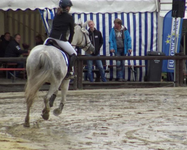 Reitturnier Lüdinghausen-Westrup 2019