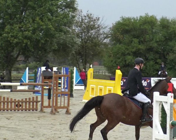 Reitturnier Lüdinghausen-Westrup 2019