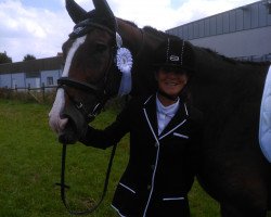 dressage horse Adlerauge H (Westphalian, 2008, from Amantus)