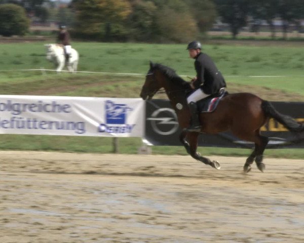 Reitturnier Lüdinghausen-Westrup 2019