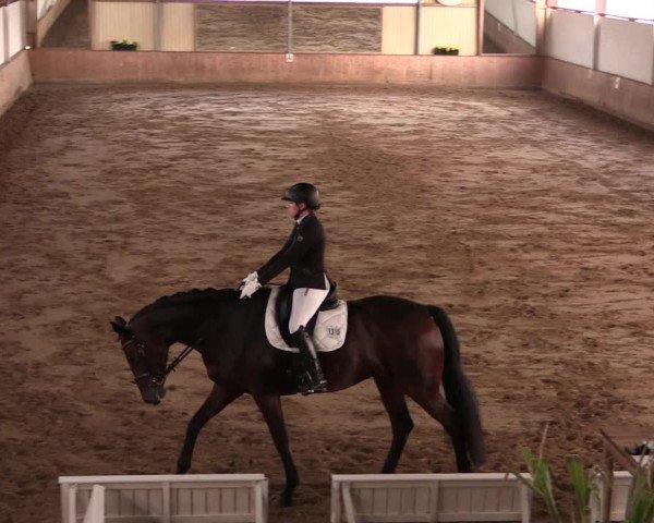 Reitturnier Lüdinghausen-Westrup 2019