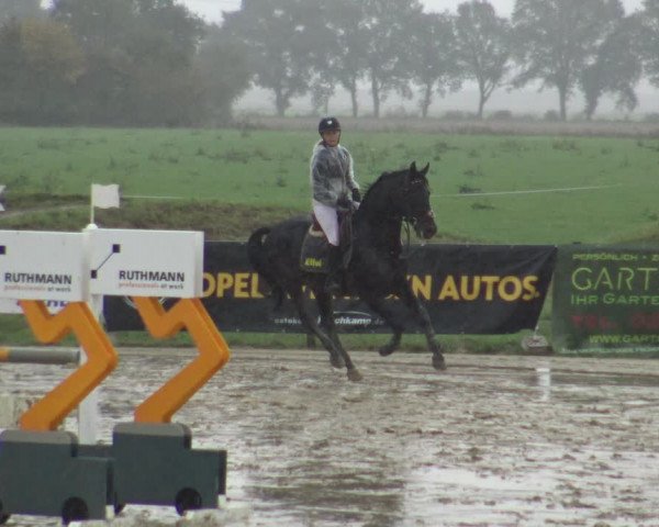 Reitturnier Lüdinghausen-Westrup 2019
