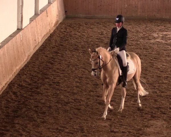 Reitturnier Lüdinghausen-Westrup 2019
