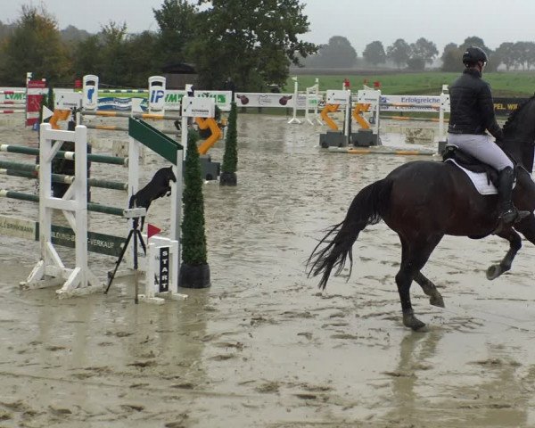 Reitturnier Lüdinghausen-Westrup 2019