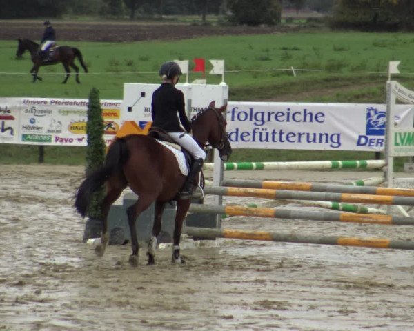 Reitturnier Lüdinghausen-Westrup 2019