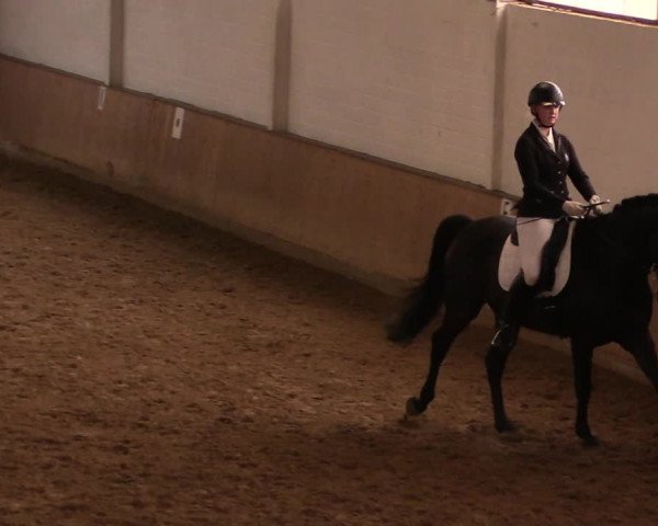 Reitturnier Lüdinghausen-Westrup 2019