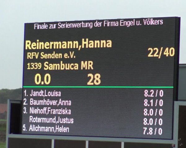 Reitturnier Lüdinghausen-Westrup 2019