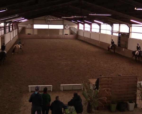 Reitturnier Lüdinghausen-Westrup 2019