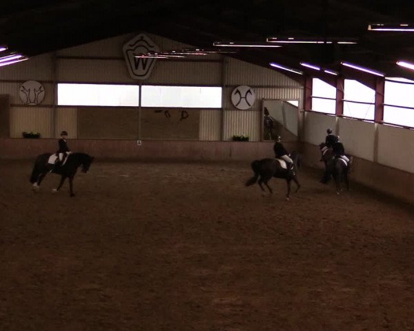 Reitturnier Lüdinghausen-Westrup 2019