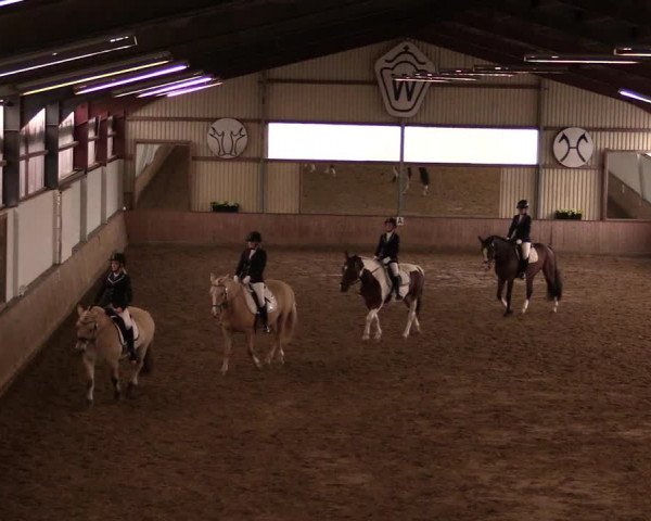 Reitturnier Lüdinghausen-Westrup 2019