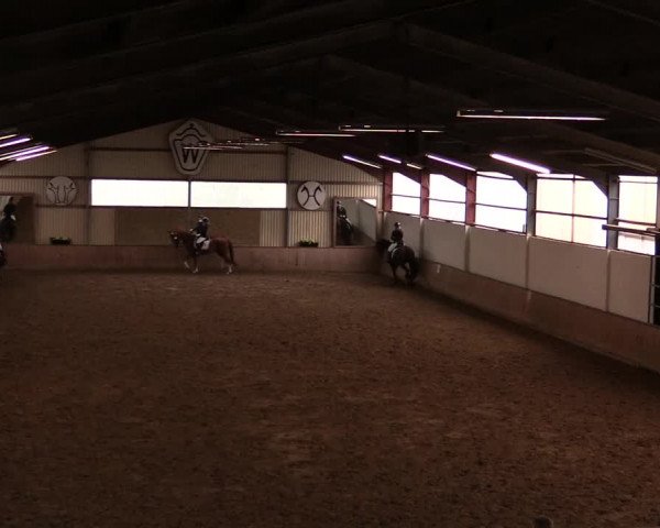 Reitturnier Lüdinghausen-Westrup 2019