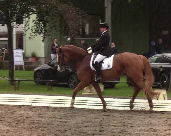 Reitturnier Wedel-Catharinenhof 2019
